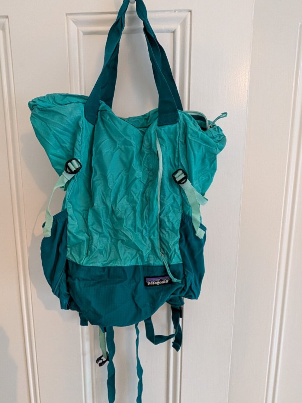 Patagonia Lightweight Travel Tote (Teal)